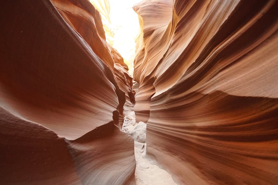 Mountain Sheep Canyon