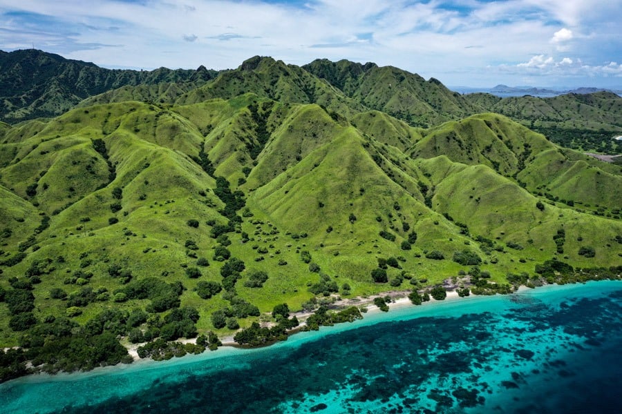 Komodo Island Dragon In Komodo National Park Indonesia