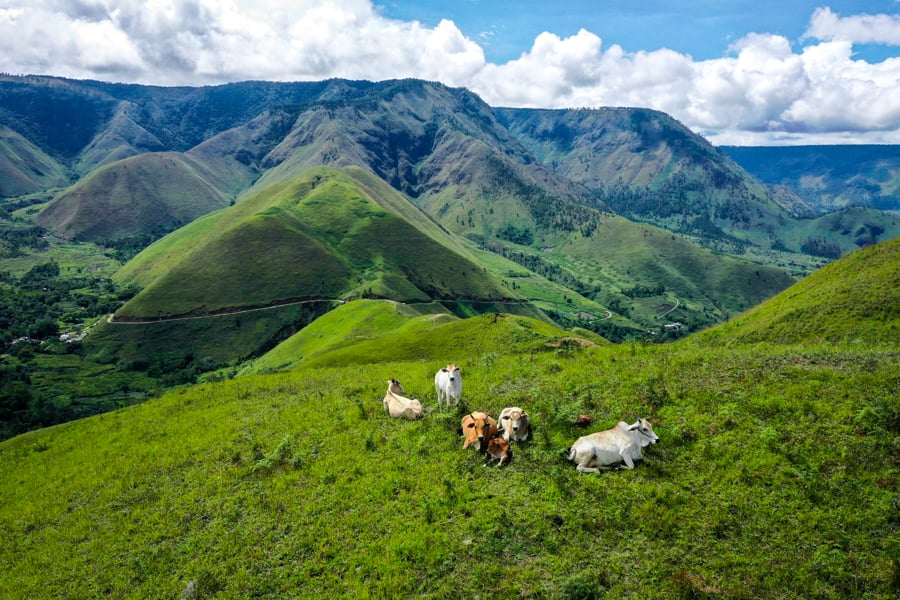 Bukit Holbung Hill Lake Toba North Sumatra Indonesia