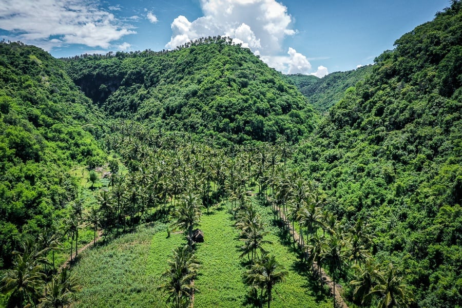 Palm trees and hills at Atuh Beach in Nusa Penida, Bali