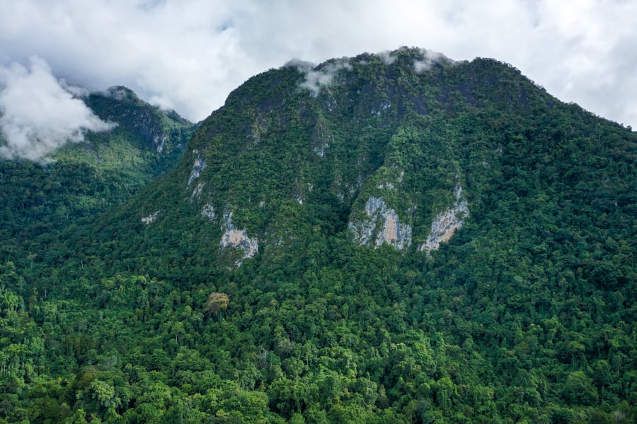 Manusela National Park Seram Island