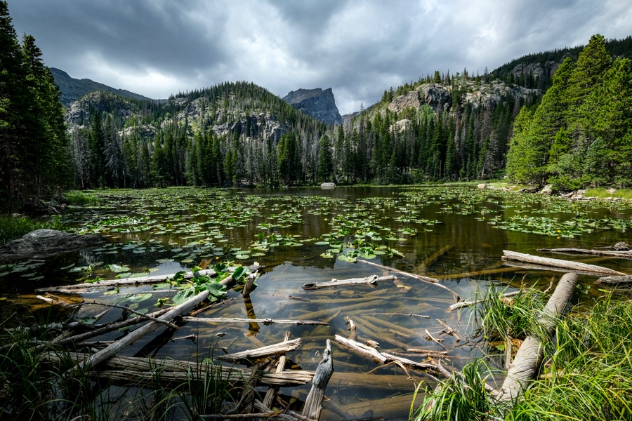 Nymph Lake Colorado Trail Hike Rocky Mountain National Park Estes