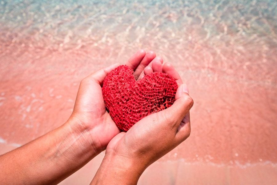 Pink Beach Komodo Island Indonesia Labuan Bajo Flores