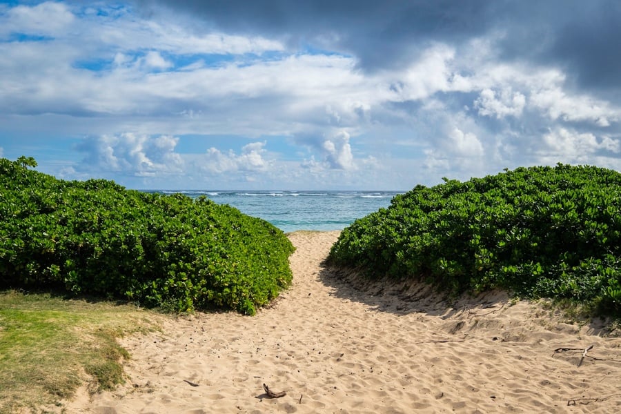 Best North Shore Oahu Beaches Hawaii Hukilau Beach Park