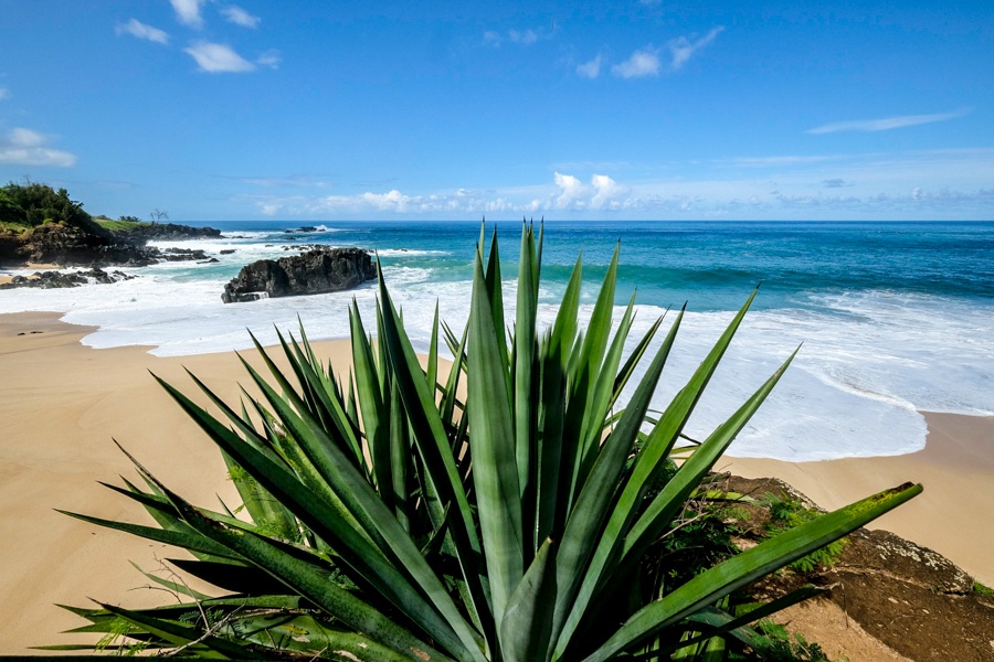 Waimea Bay Beach