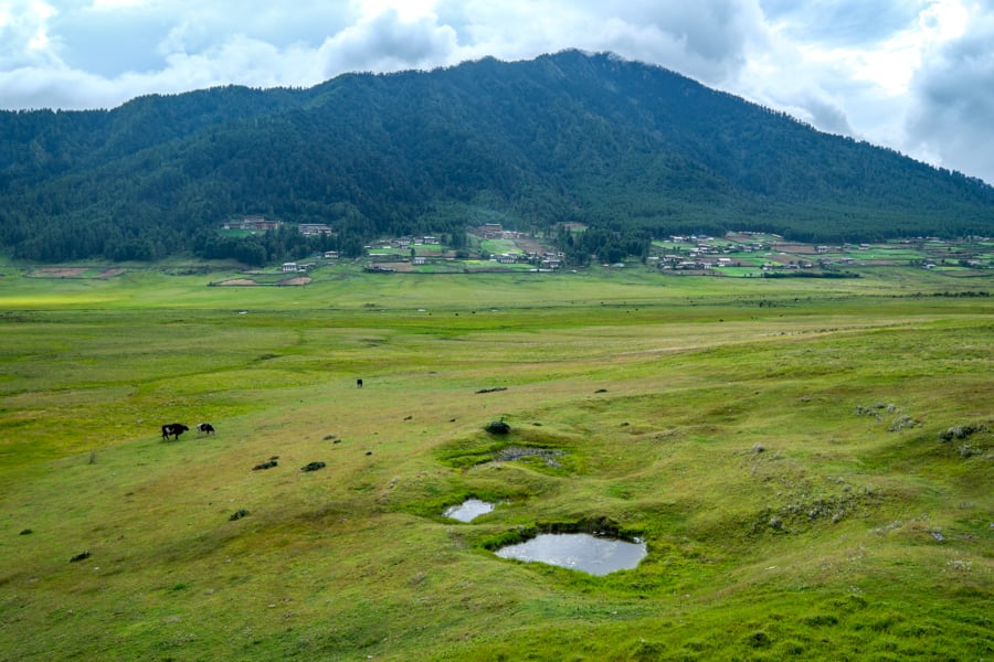 Phobjikha Valley