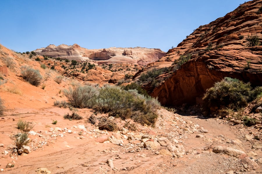 Wirepass Canyon Wash