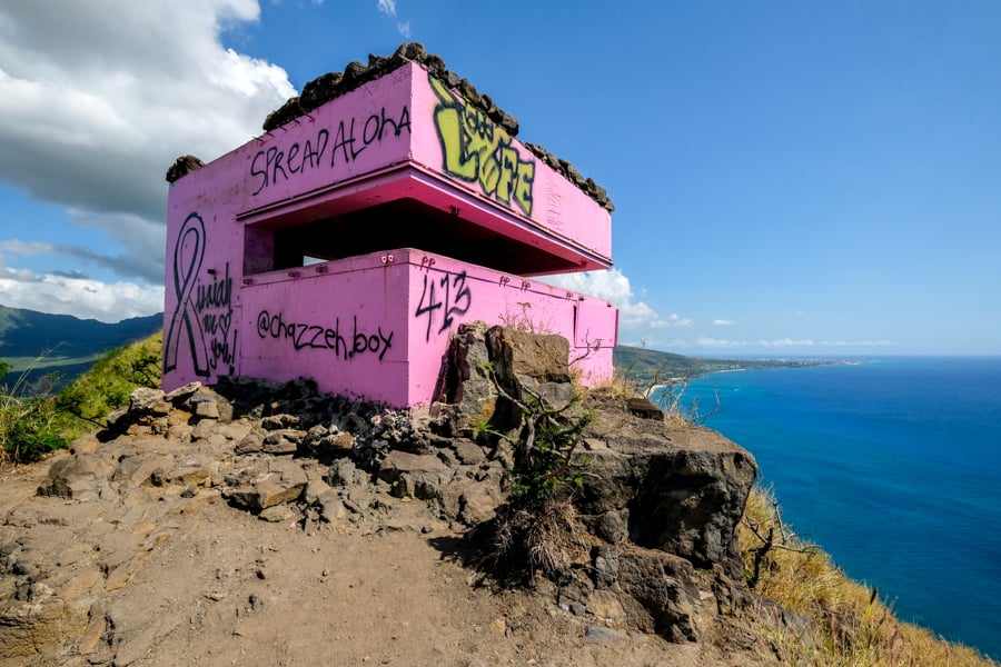 Pink Pillbox Maili Waianae