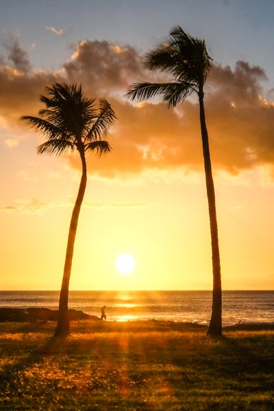 Makaha Sunset