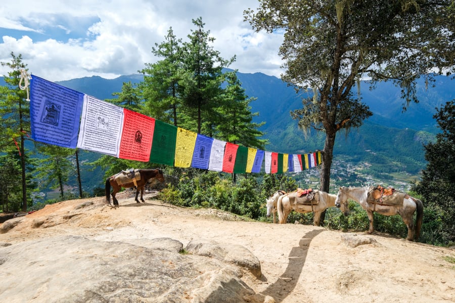 Horses Ponies Prayer Flags