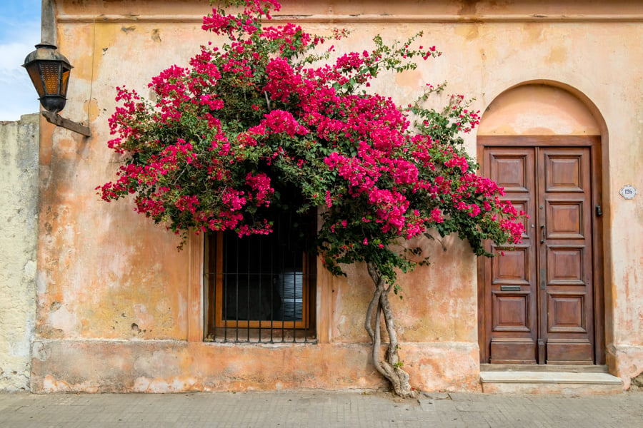 Colonia Del Sacramento Uruguay Day Trip From Buenos Aires Argentina Montevideo