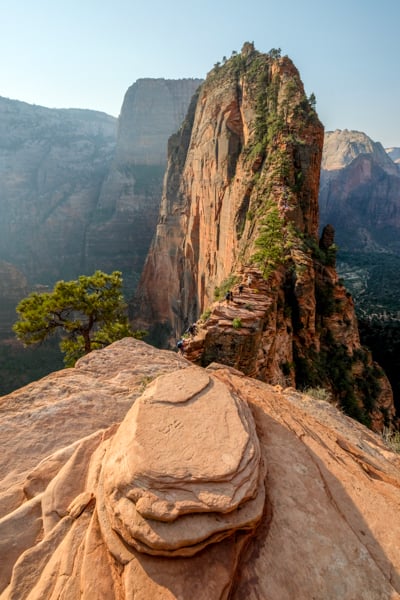 Zion Canyon View