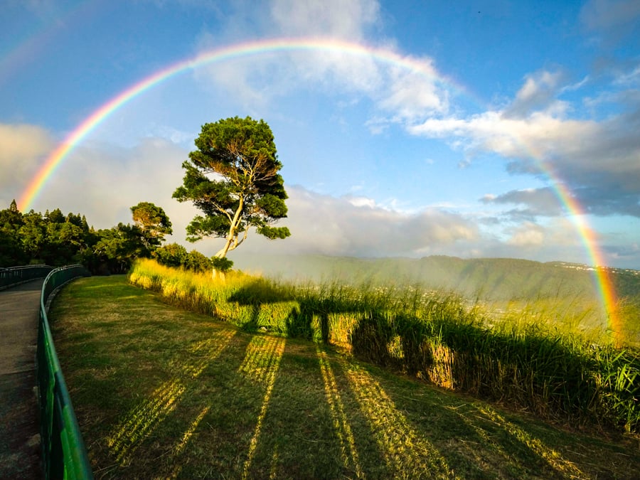 Hawaiian Rainbow