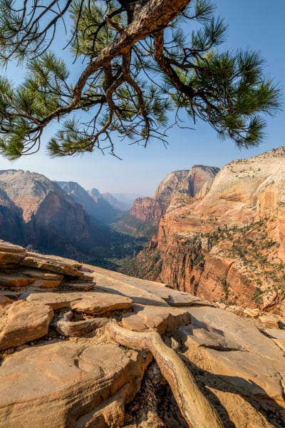 Zion Canyon View