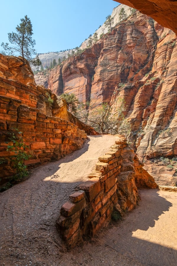 Walter's Wiggles Switchbacks