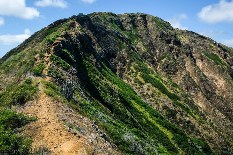 Koko Crater Rim