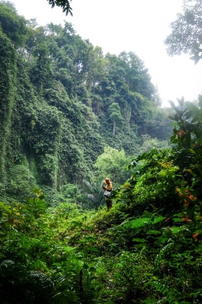 Santhipala Waterfall Bali Jungle