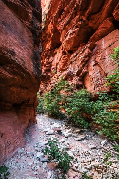 Spring Creek Slot Canyon