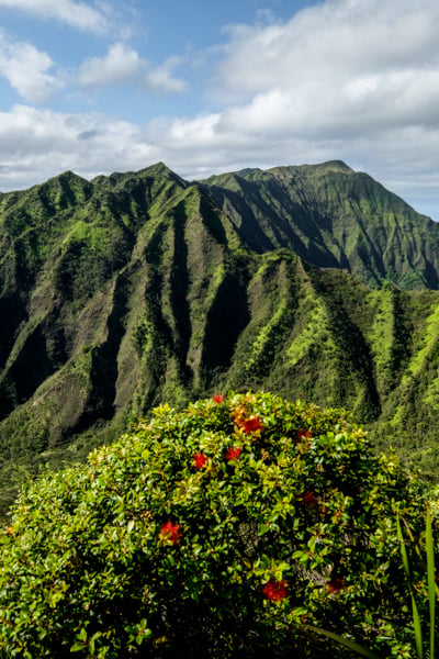 Moanalua Valley Trail Legal Back Way