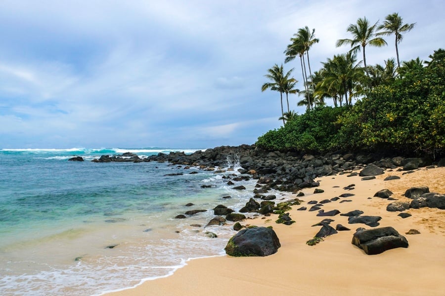 Laniakea Beach