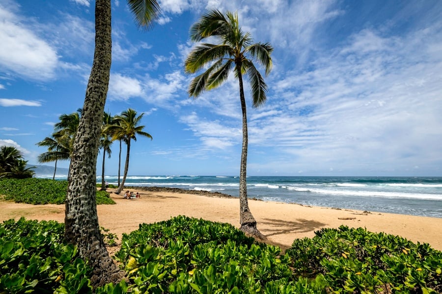 Best North Shore Oahu Beaches Hawaii Haleiwa Alii Beach