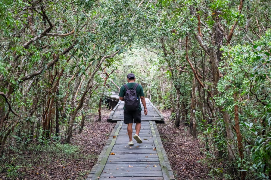 Pondok Tanggui Trekking Path Boardwalk