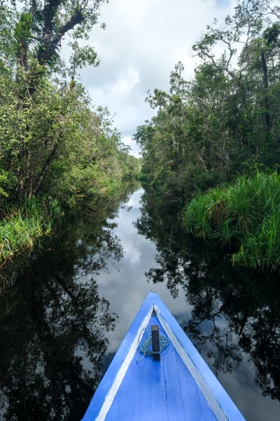 Sekonyer black river