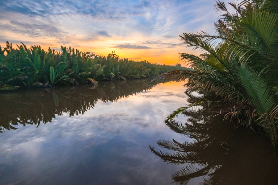 Sunrise Sunset Sekonyer River