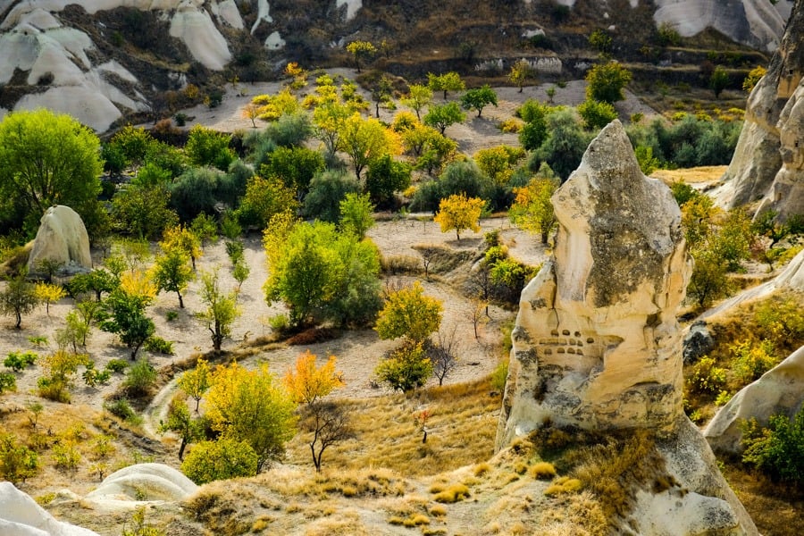 Fall colors at Pigeon Valley