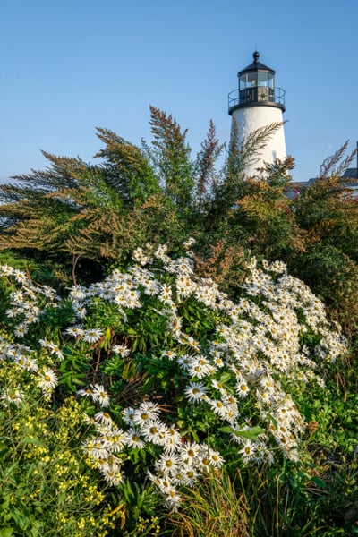 Pemaquid Point Light