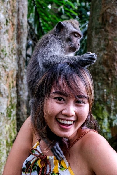 Bali monkeys at the Ubud Sacred Monkey Forest Sanctuary