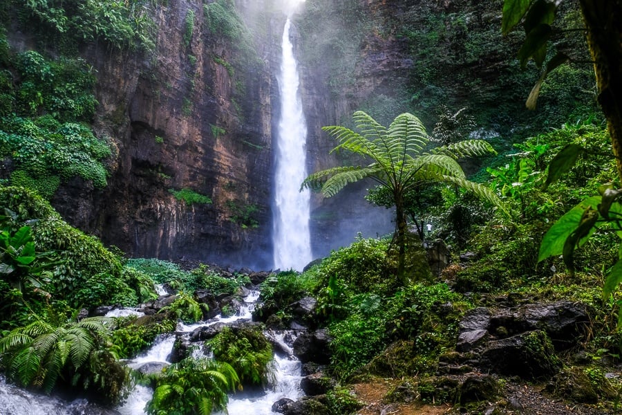 Orange Rock Falls Jungle Bamboo