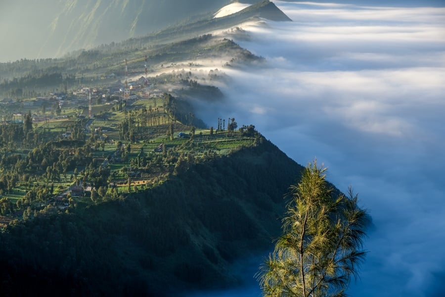 Cemoro Lawang Fog