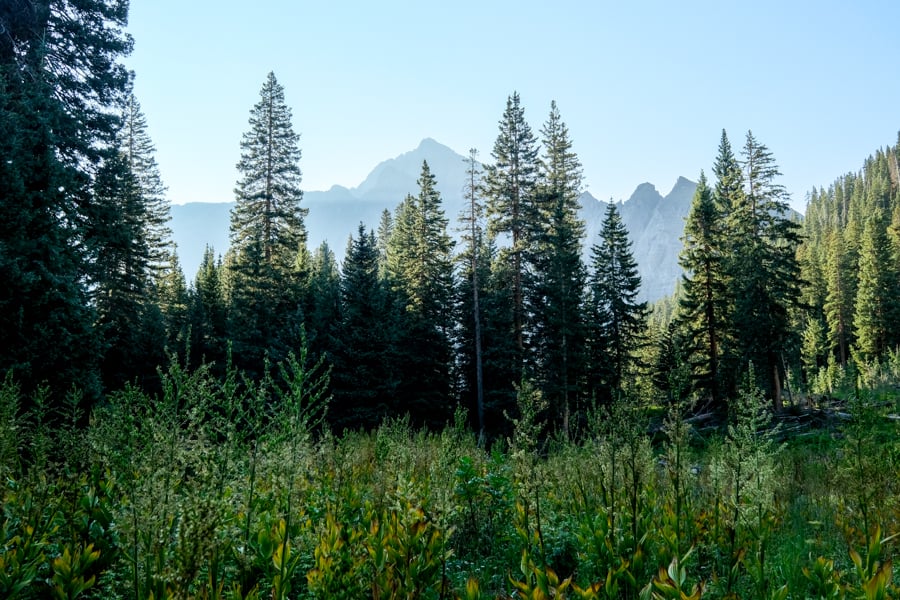 mountains hiking path