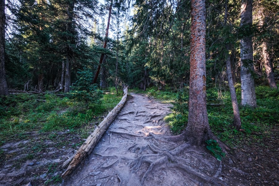 hiking path