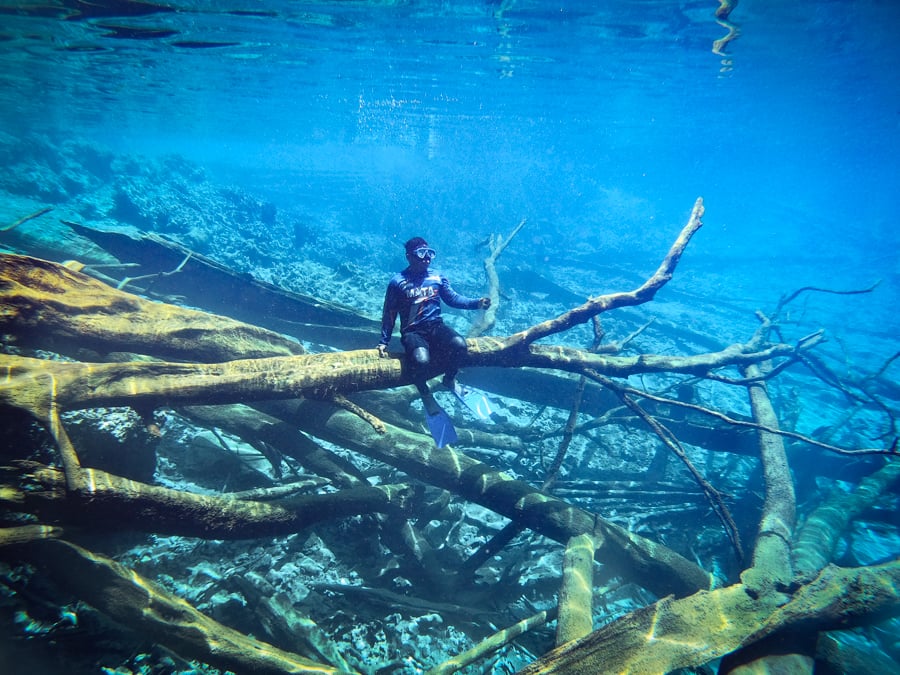 Underwater Blue Snorkeling Trees